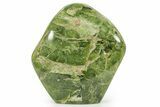 Free-Standing Polished Jade (Nephrite) - Afghanistan #383403-1